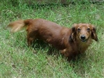 Rusty  July 3, 2001