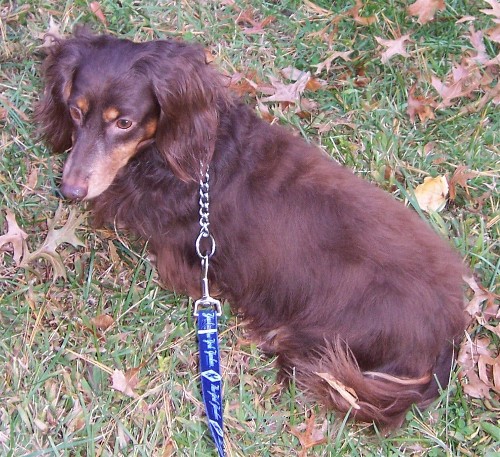 November 1, 2006