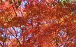 2008(753)Oct14_43