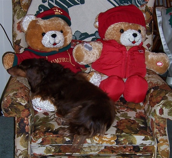 January 3, 2007